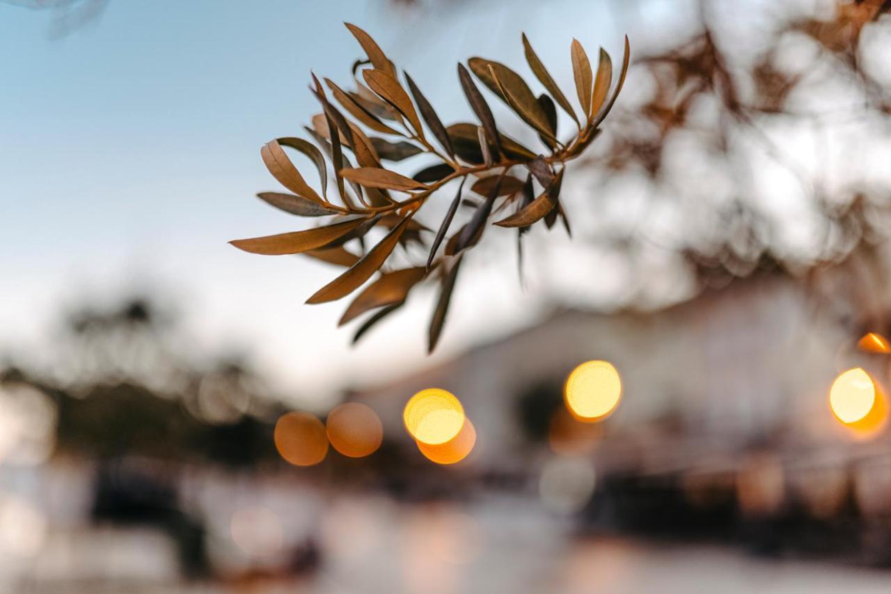 Hotel Apoksiomen Mali Lošinj Dış mekan fotoğraf